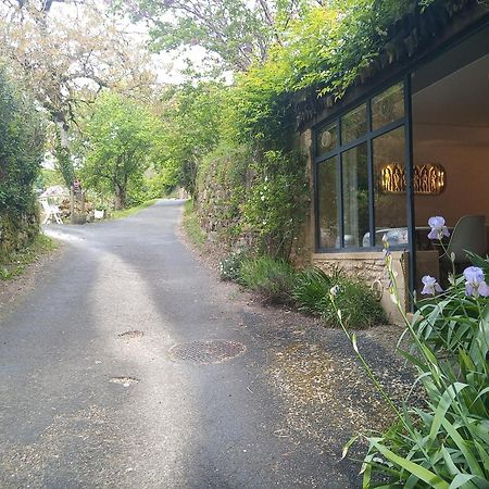 Chambre Du Sabotier - Studio Troglodytique - A 100 M Baignade En Riviere - Location De Canoe - Circuits Cyclo - Aire De Pique-Nique - 3 Restaurants Castelnaud La Chapelle Luaran gambar